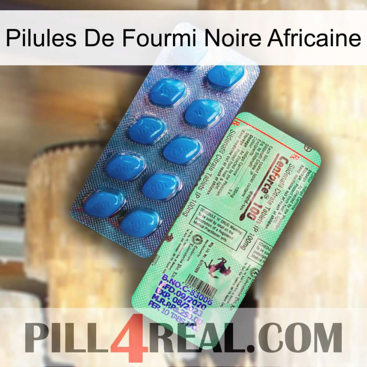 African Black Ant Pills new02